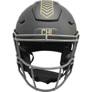 Chicago Bears 2025 Salute to Service Authentic SpeedFlex