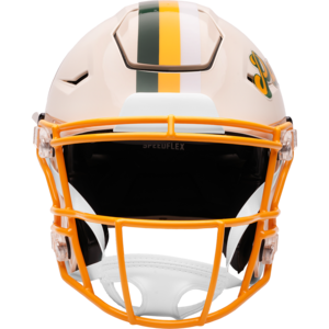 Green Bay Packers Retro Authentic SpeedFlex