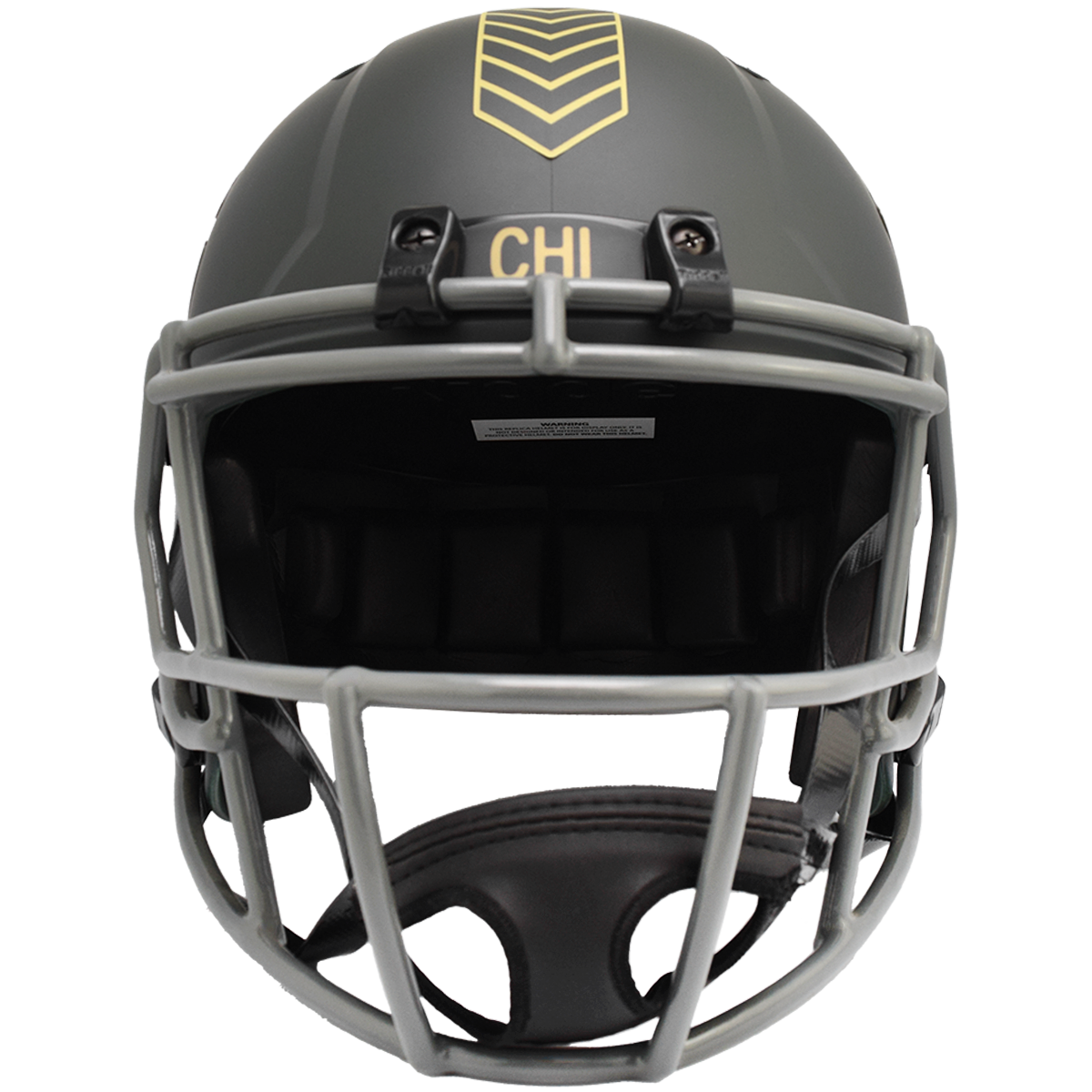 Chicago Bears 2025 Salute to Service Authentic Replica