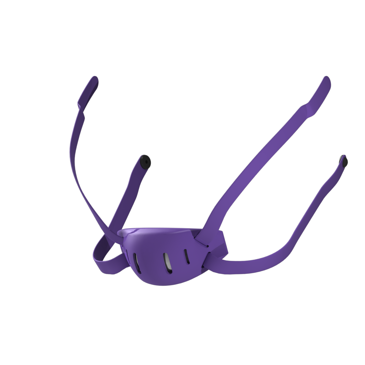 SF CHINSTRAP NC+HC CAM LG COMBO PURPLE