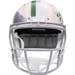 Philadelphia Eagles Retro Replica Speed