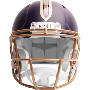 Minnesota Vikings Rivalries On Field Alternate Authentic Speed Minnesota Vikings Rivalries On Field Alternate Authentic Speed