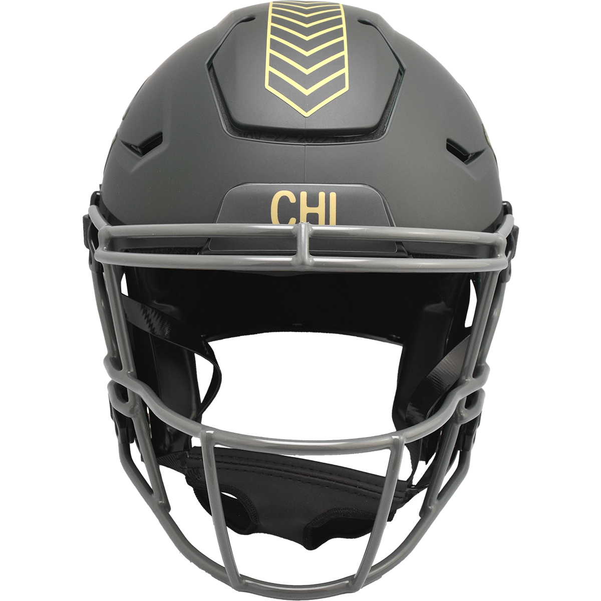 Chicago Bears 2025 Salute to Service Authentic SpeedFlex