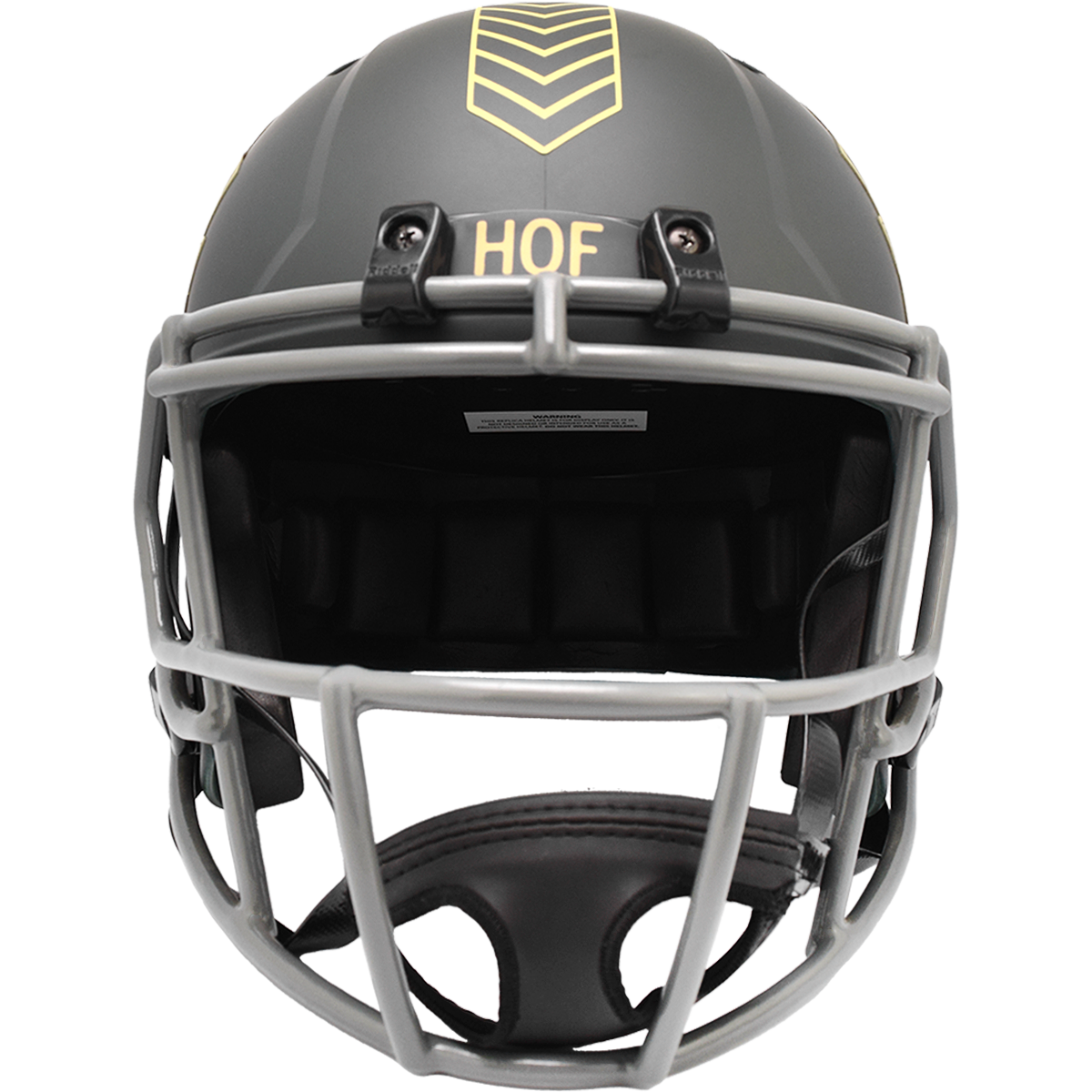 NFL Hall of Fame 2025 Salute to Service Authentic Replica