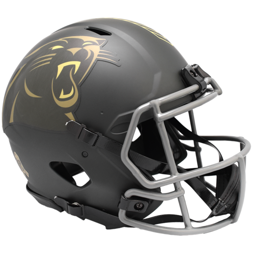 Carolina Panthers 2025 Salute to Service Authentic Speed