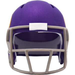 Minnesota Vikings Limited Edition Tribute Pocket Size Helmet Minnesota Vikings Limited Edition Tribute Pocket Size Helmet