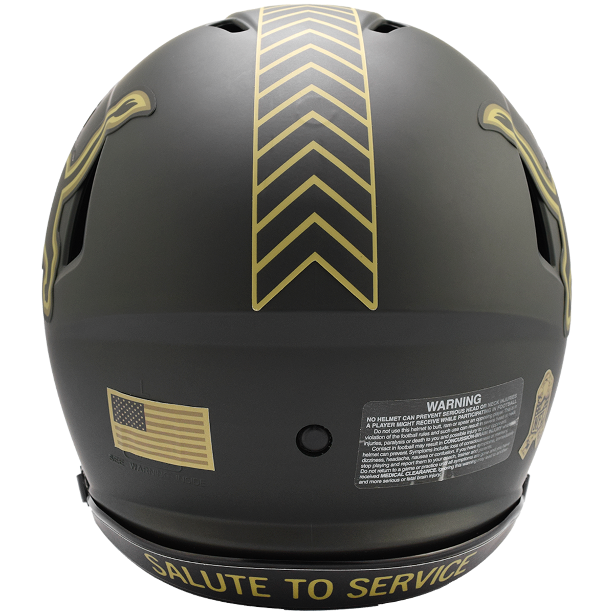 Detroit Lions 2025 Salute to Service Authentic Speed