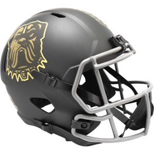 Cleveland Browns 2025 Salute to Service Authentic Replica