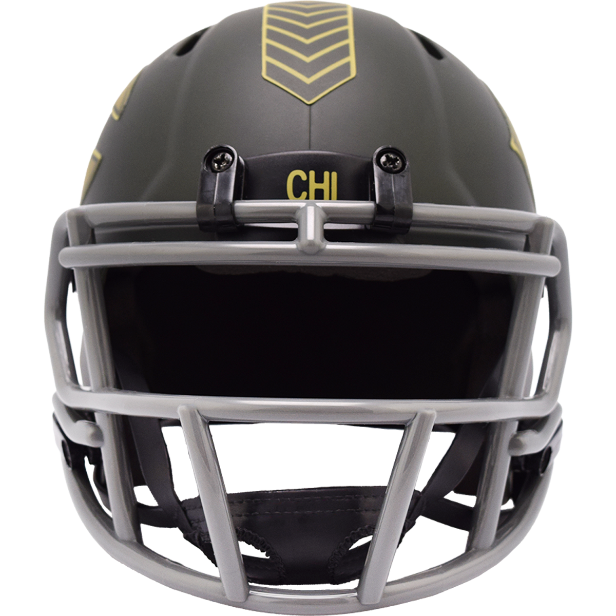 Chicago Bears 2025 Salute to Service Mini Speed