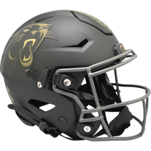 Carolina Panthers 2025 Salute to Service Authentic SpeedFlex