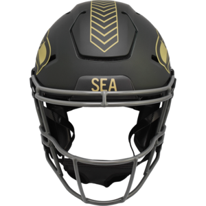 Seattle Seahawks 2025 Salute to Service Authentic SpeedFlex