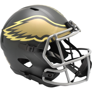 Philadelphia Eagles 2025 Salute to Service Authentic Replica