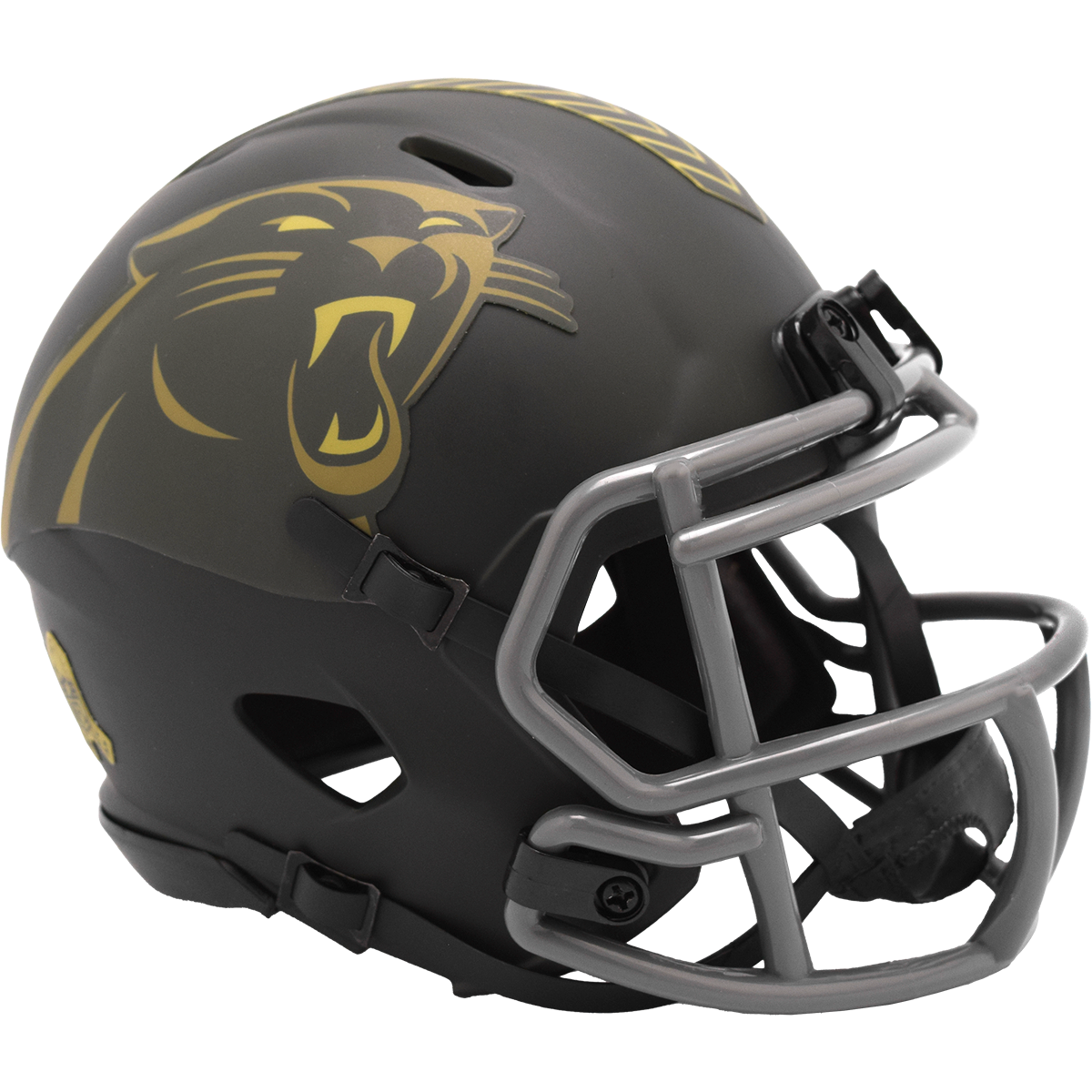 Carolina Panthers 2025 Salute to Service Mini Speed