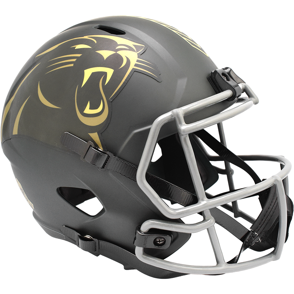 Carolina Panthers 2025 Salute to Service Authentic Replica