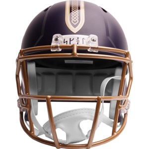 Minnesota Vikings Rivalries On Field Alternate Replica Speed Minnesota Vikings Rivalries On Field Alternate Replica Speed