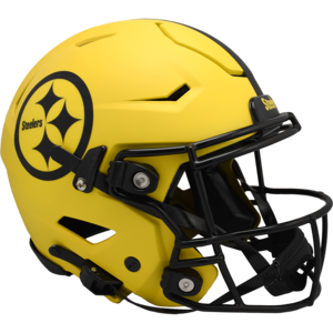 Pittsburgh Steelers Riddell ヘルメット 08-1490_-_resized.jpg