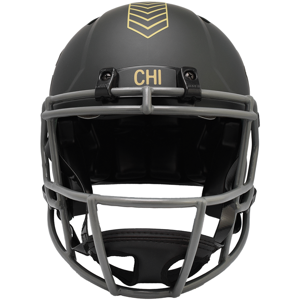 Chicago Bears 2025 Salute to Service Authentic Speed